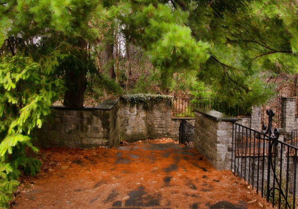 istock stairs to a formal  garden 1465498335