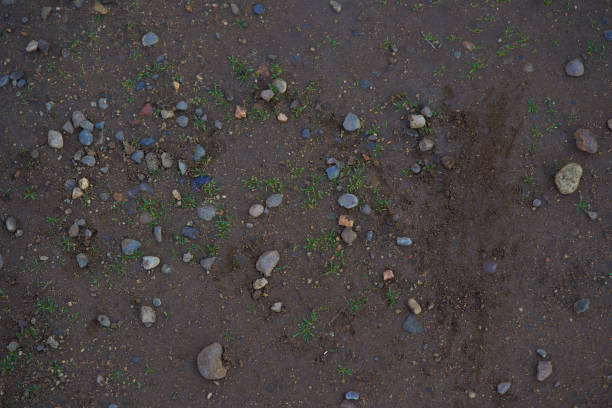 istock Brown texture of wet earth and stones 1465499575