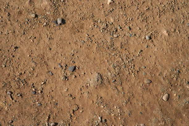 istock Brown earth texture for wallpaper or background 1465499583