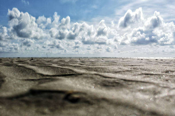 A closeup shot of a sandy seashore under a bright sky