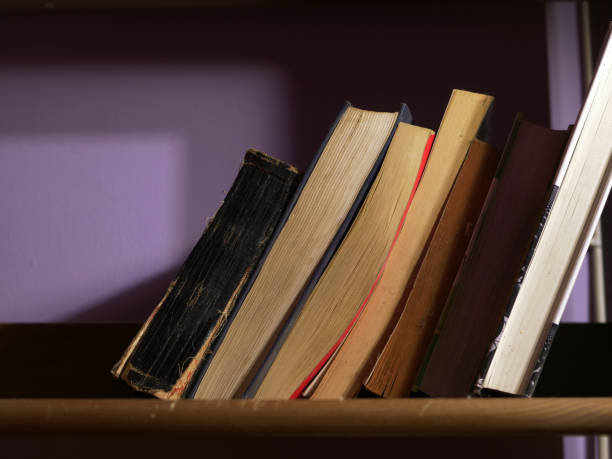 istock Book collection on a wooden bookshelf 1465500412