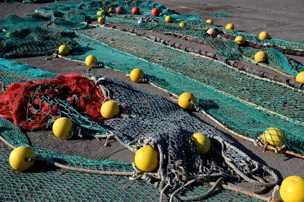 istock Fisher nets drying in a fishing harbour 1465500500
