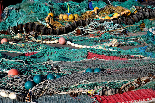 istock Fisher nets drying in a fishing harbour 1465500507