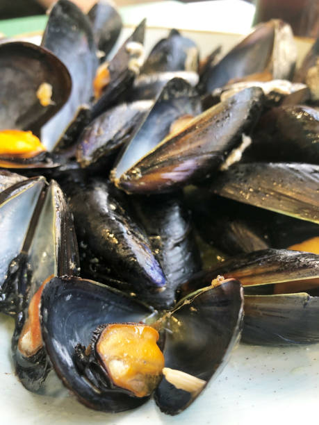 istock Vertical shot of freshly cooked mussels on a white plate 1465500997