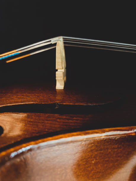 istock Closeup of a brown violin with strings 1465501086