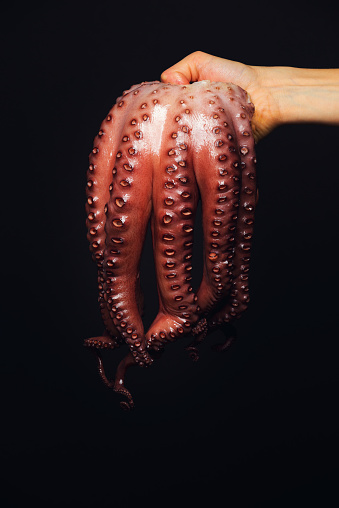 А hand holding fresh octopus on а black background