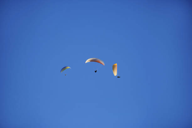 Three parachutes flying in the blue clear sky