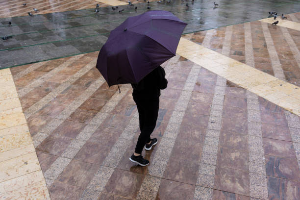 istock Female in black clothes walking outdoors with a purple umbrella 1465504594