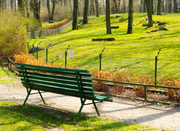 istock Green bench by a footpath on a park 1465506307