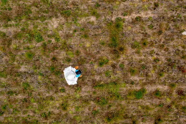 Aerial drone view above a scientist analyzing growth data on a field