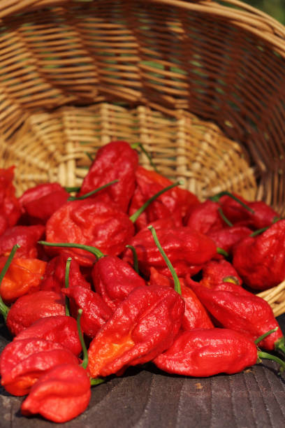 istock Closeup shot of peppers and a thicker basket 1465509071