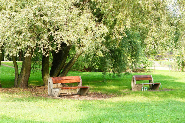 istock Natural view of empty benches in a park 1465510570