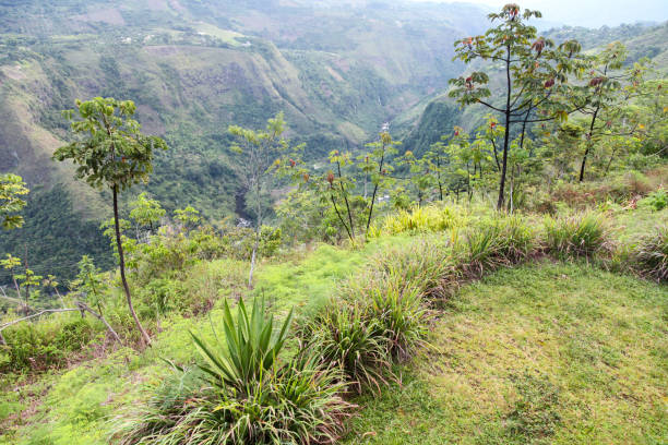Scenic view of Magdalena River flowing through canyon crossed, San Agustin, Colombia.