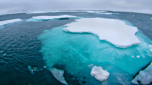 istock Drift floating Ice, Albert I Land, Norway 1465513696