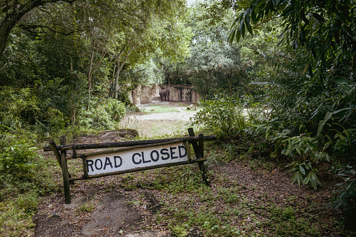 A zoo with dense green trees and a warning ''road closed'' sign with an elephant on the background