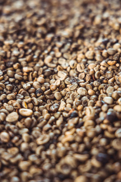 istock Selective focus shot of brown coffee beans - for backgrounds 1465516028