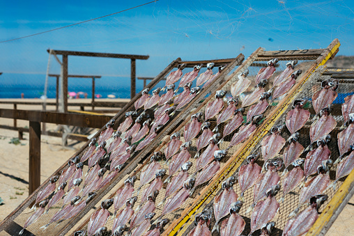 The Fish drying outdoor in the traditional way