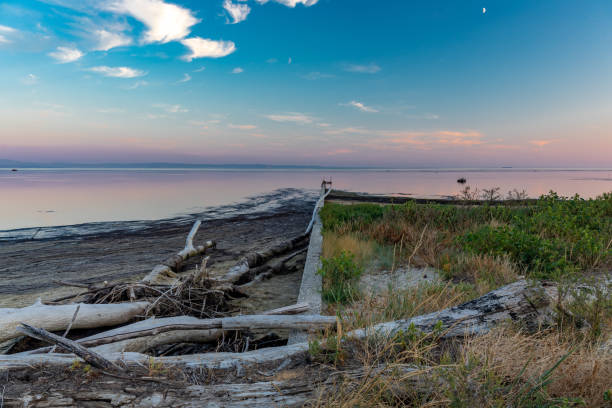 istock Coastal breakwater with broken logs after the typhoon 1465518523