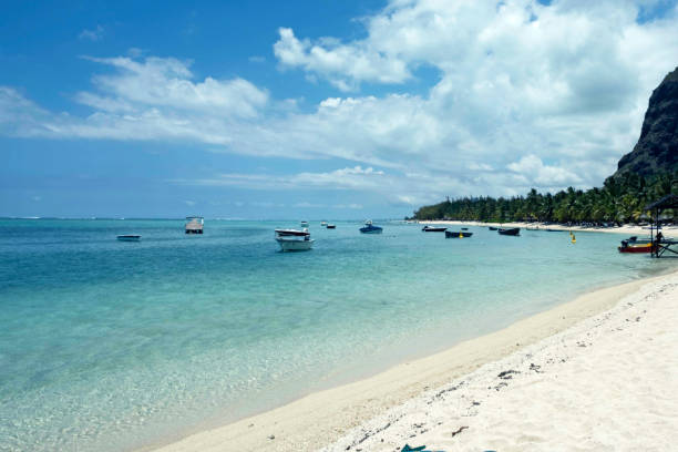 istock View to beautiful Maui beach 1465518583