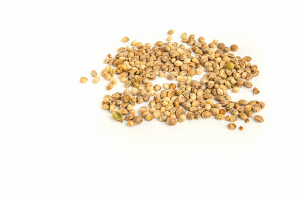 istock Cannabis seeds isolated on white background 1465523084