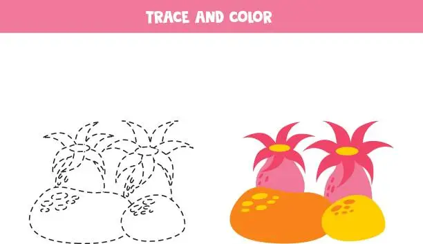 Vector illustration of Trace and color cartoon cute pink sea anemone. Worksheet for children.