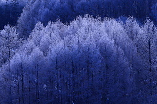 Morioka City, Iwate Prefecture Winter scenery at sunrise