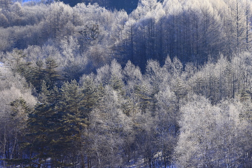 Morioka City, Iwate Prefecture Winter scenery at sunrise