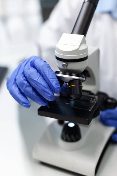 istock Closeup of biologist woman hands using microscope analyzing blood sample 1465525488