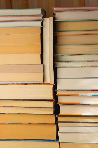 istock Big Pile of Books 1465526097