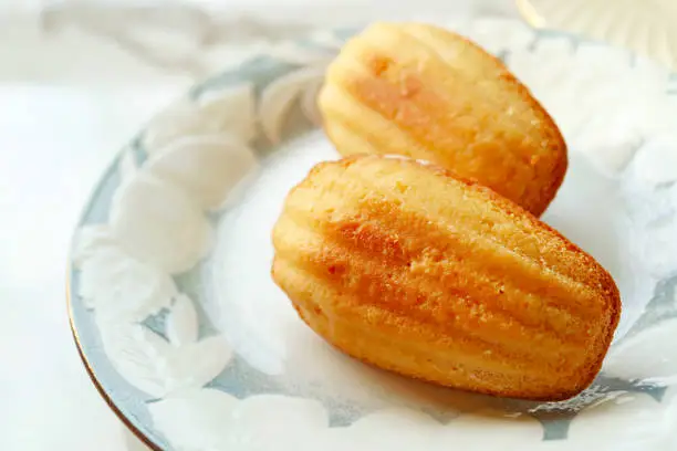 Closeup of a Pair of Delectable Petite Madeleine Cakes
