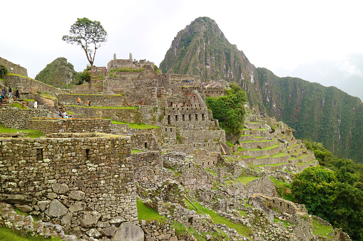 Stunning View of Machu Picchu Ancient Inca Citadel in the Early Morning with Few Visitors, Cuzco Region, Peru, South America