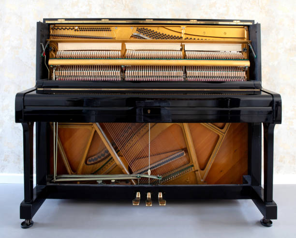 Details of piano mechanism gavel - string, pins and hammers
