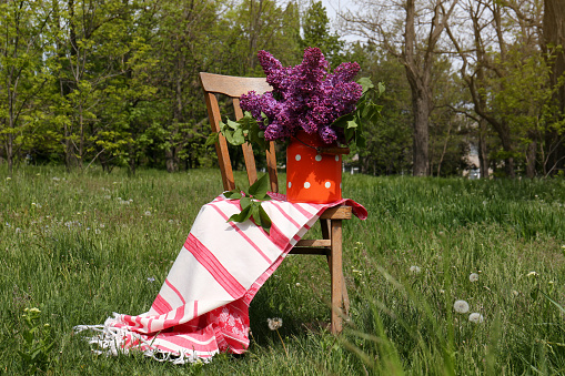 Beautiful lilac flowers in milk can outdoors