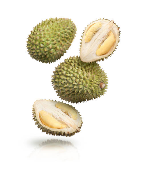 istock Many ripe durian fruits falling on white background 1465534619