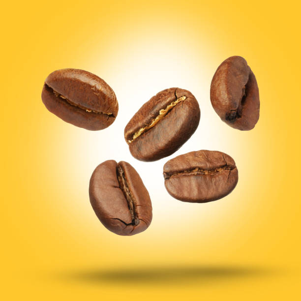 istock Many roasted coffee beans falling on yellow background 1465534766