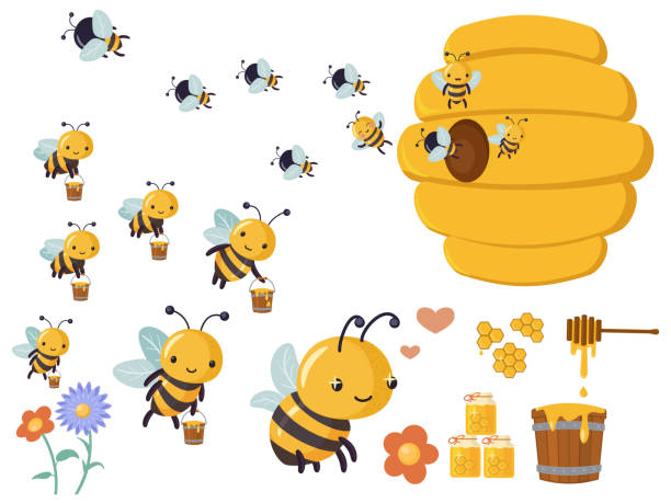 zabawny słodki zabawny styl kreskówki.  zestaw ilustracji flat vector - bee flower meadow flying stock illustrations