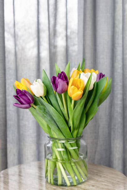 istock Bouquet of fresh bright colorful tulips on a side table. 1465536345