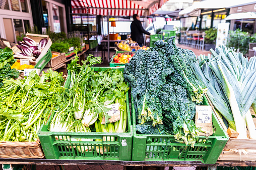 squash, basil, fennel, turnips kale beet, carrots and other vegetables at the farmer's market