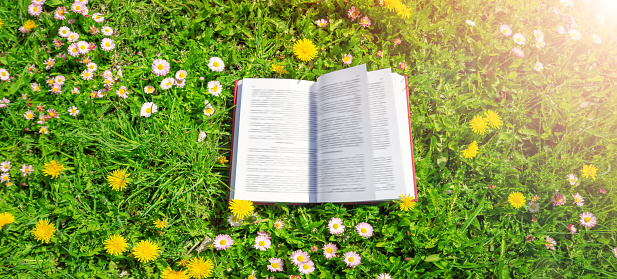 Open book in the grass on the field on sunny day in spring. Beautiful meadow with daisy and dandelion flowers at springtime. Reading and knowledge concept.