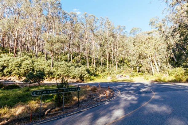 istock Falls Creek Village in Summer in Australia 1465539019