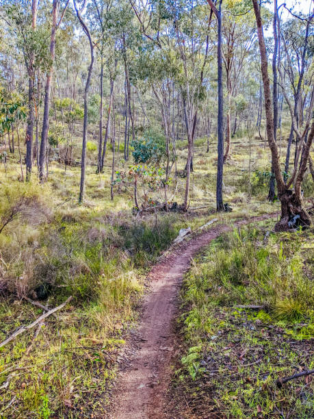istock Castlemaine Bike Trails in Australia 1465539097