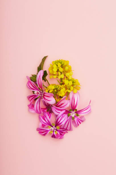 istock Flat lay flower arrangement on pink background 1465539332