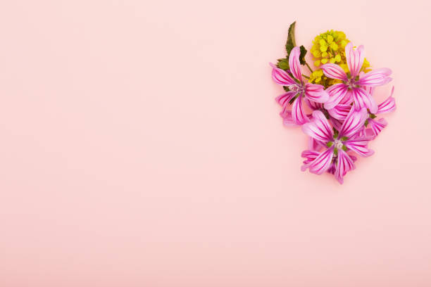 Flat lay flower arrangement on pink background