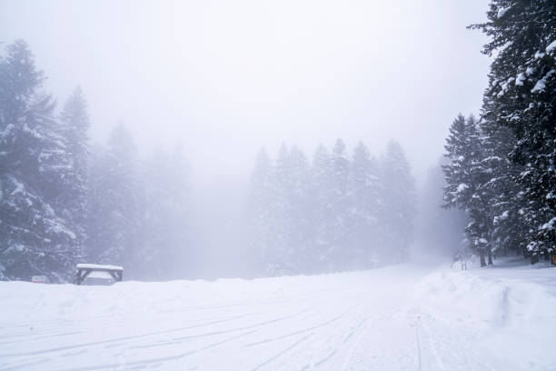 foggy and snowy mountain view in winter