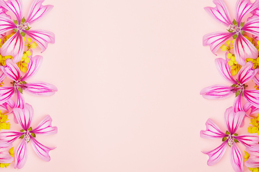 Flat lay flower arrangement shaping a corner frame with copy space on pink background
