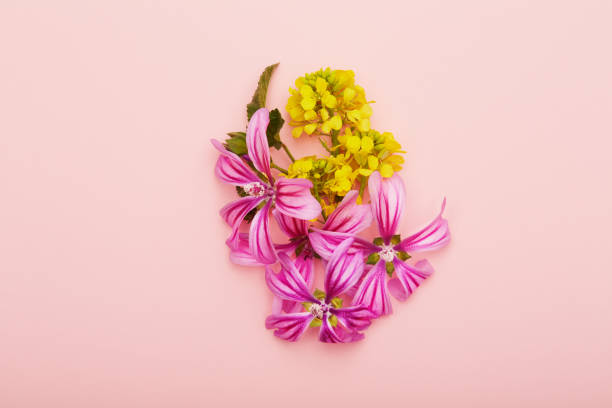 istock Flat lay flower arrangement on pink background 1465539997