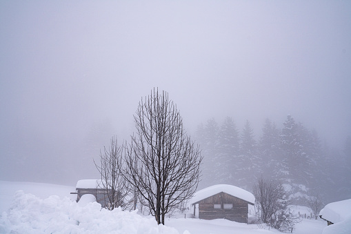 Cottages in snowy and foggy mountain landscape