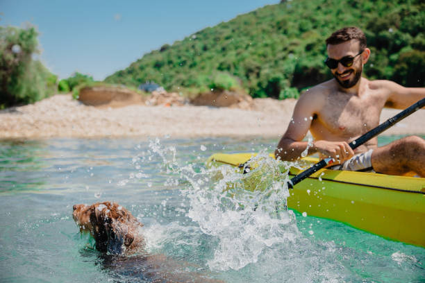 istock Handsome men having fun with his old dog in kayak 1465544322