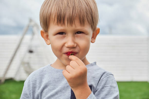 istock Child 4 years old holding and eating raspberries in backyard 1465544628