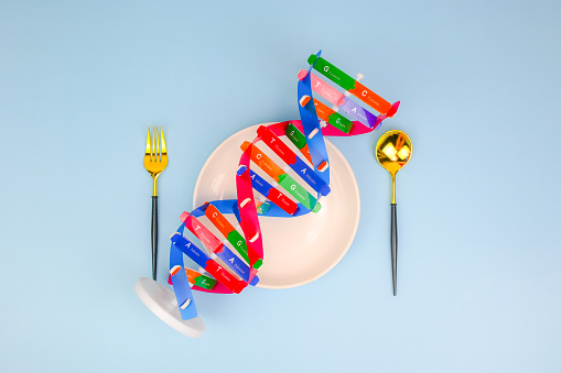 DNA helix structure and the fork in the middle, DNA and nutrition effect human life, DNA food and genetically modified foods